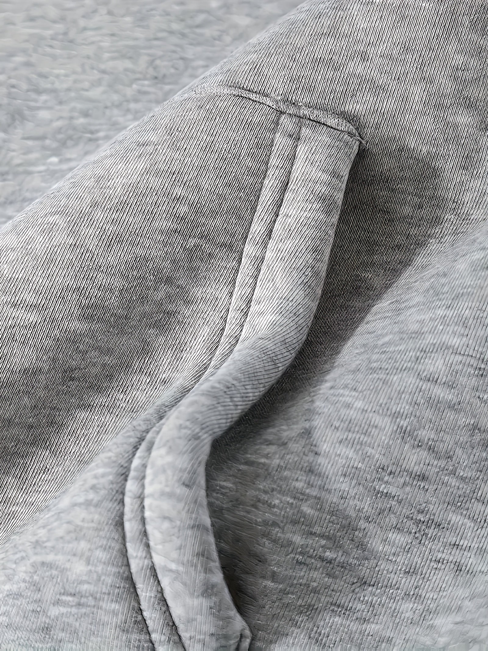 Xystus | Herenhoodie met fleecevoering – Warme wintertrui met capuchon en trekkoord